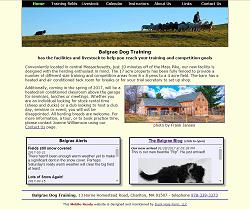 Balgrae Dog Training homepage